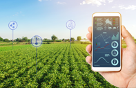 Agriculture Sector Web and App development DevsAxis